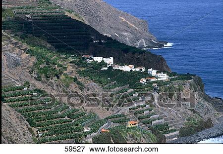 Houses in the terraced landscape, Gomera, Canary Islands, Spain View Large Photo Image Stock Photo - Houses in the terraced landscape, Gomera, Canary Islands, Spain . Fotosearch