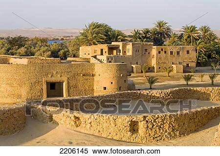 Houses with palm trees on landscape, Adrere Amellal, Siwa, Egypt View Large Photo Image Stock Photography - Houses with palm trees on landscape, Adrere Amellal, Siwa, Egypt . Fotosearch