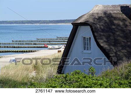 Stock Photo - Hut on beach, Darss, Ahrenshoop, Mecklenburg-Western Pomerania, Germany . Fotosearch