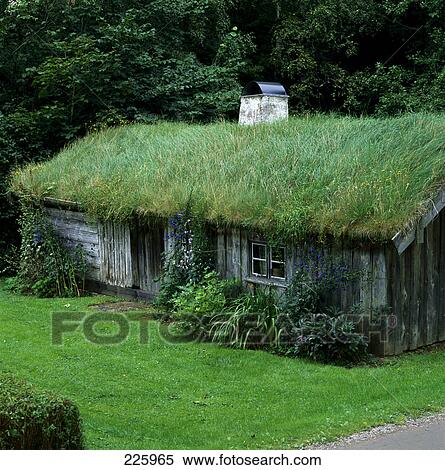 Hut with roof covered with grass, Sweden View Large Photo Image Stock Photography - Hut with roof covered with grass, Sweden . Fotosearch