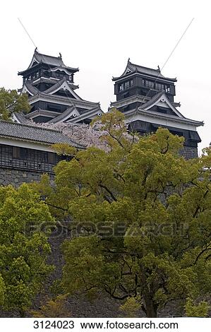 Stock Image - Kumamoto Castle, Kumamoto, Japan, low angle view . Fotosearch