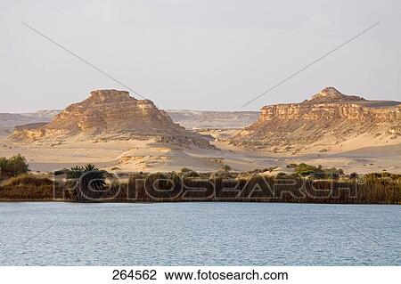 Lake in desert, Siwa Oasis, Libyan Desert, Egypt View Large Photo Image Stock Image - Lake in desert, Siwa Oasis, Libyan Desert, Egypt . Fotosearch