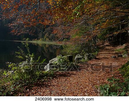 Lake in forest View Large Photo Image Stock Photo - Lake in forest . Fotosearch