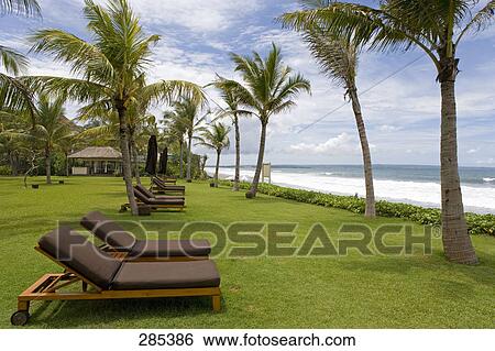 Lounge chairs at resort, Bali, Indonesia View Large Photo Image Stock Photograph - Lounge chairs at resort, Bali, Indonesia . Fotosearch