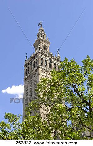 Low angle view of cathedral, La Giralda, Seville, Spain View Large Photo Image Stock Image - Low angle view of cathedral, La Giralda, Seville, Spain . Fotosearch