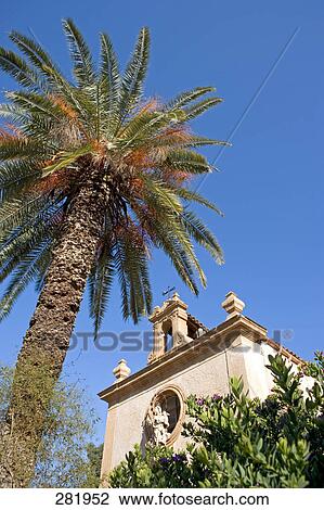 Low angle view of palm tree in front of building, Villa Palagonia, Sicily, Italy View Large Photo Image Stock Image - Low angle view of palm tree in front of building, Villa Palagonia, Sicily, Italy . Fotosearch