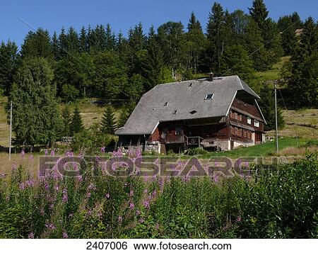 Low angle view of timber-framed house on hill, Black Forest, Baden-Wuerttemberg, Germany View Large Photo Image Stock Photograph - Low angle view of timber-framed house on hill, Black Forest, Baden-Wuerttemberg, Germany . Fotosearch