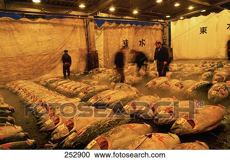 Men at fish market, Tokyo Prefecture, Japan View Large Photo Image Stock Image - Men at fish market, Tokyo Prefecture, Japan . Fotosearch