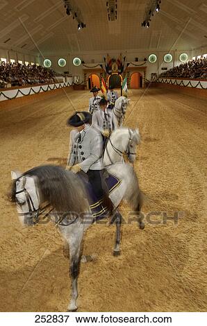 Men riding horses in stadium, Jerez De La Frontera, Andalusia, Spain View Large Photo Image Stock Photo - Men riding horses in stadium, Jerez De La Frontera, Andalusia, Spain . Fotosearch