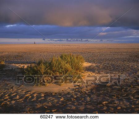 Overcast sky above a sandy landscape, Fuerteventura, Canary Islands, Spain View Large Photo Image Stock Photo - Overcast sky above a sandy landscape, Fuerteventura, Canary Islands, Spain . Fotosearch