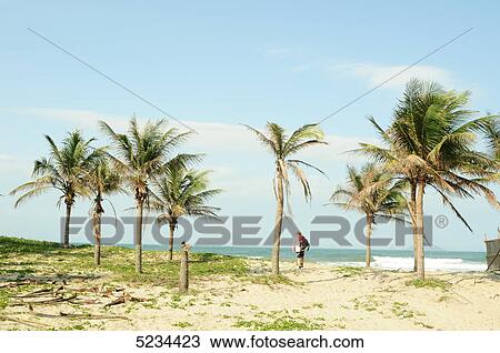 Palm beach, Mui Ne, Vietnam, Asia View Large Photo Image Stock Image - Palm beach, Mui Ne, Vietnam, Asia . Fotosearch