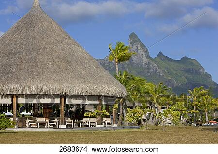 Picture - Palm trees and chairs in resort, Saint-Regis Resort, Bora Bora, Society Island, French Polynesia . Fotosearch