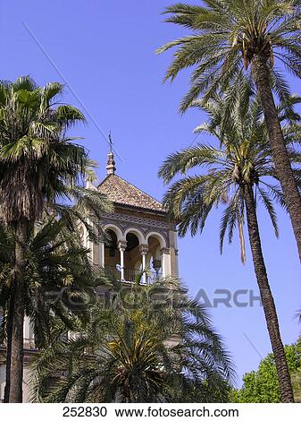 Palm trees in front of hotel, Hotel Alfonso Xiii, Seville, Spain View Large Photo Image Stock Image - Palm trees in front of hotel, Hotel Alfonso Xiii, Seville, Spain . Fotosearch