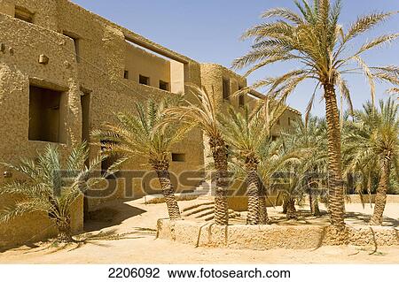 Palm trees in front of lodge, Adrere Amellal, Siwa Oasis, Libyan Desert, Egypt View Large Photo Image Stock Image - Palm trees in front of lodge, Adrere Amellal, Siwa Oasis, Libyan Desert, Egypt . Fotosearch