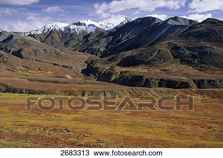 Panoramic view of mountain range, Denali National Park, Alaska, USA View Large Photo Image Stock Image - Panoramic view of mountain range, Denali National Park, Alaska, USA . Fotosearch
