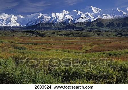 Picture - Panoramic view of snowcapped mountain range, Denali National Park, Alaska, USA . Fotosearch