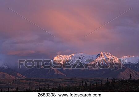 Stock Photo - Panoramic view of snowcapped mountain range, Denali National Park, Alaska, USA . Fotosearch