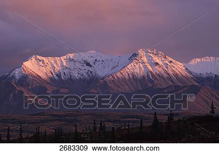 Stock Photo - Panoramic view of snowcapped mountain range, Denali National Park, Alaska, USA . Fotosearch