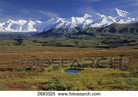 Panoramic view of snowcapped mountain range, Denali National Park, Alaska, USA View Large Photo Image Stock Photography - Panoramic view of snowcapped mountain range, Denali National Park, Alaska, USA . Fotosearch