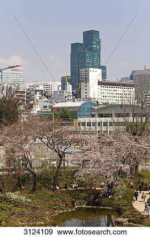 Park in Tokyo, Japan, high angle view View Large Photo Image Stock Photo - Park in Tokyo, Japan, high angle view . Fotosearch