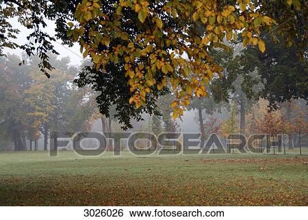 Park with autumn trees Berlin, Germany View Large Photo Image Stock Photograph - Park with autumn trees Berlin, Germany . Fotosearch