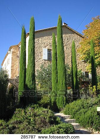 Path running through garden, Moustiers-Sainte-Marie, Alpes-De-Haute-Provence, France View Large Photo Image Stock Photo - Path running through garden, Moustiers-Sainte-Marie, Alpes-De-Haute-Provence, France . Fotosearch
