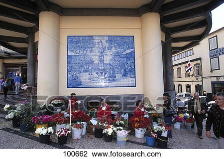 People at flower shop, Azulejos, Funchal, Portugal View Large Photo Image Stock Image - People at flower shop, Azulejos, Funchal, Portugal . Fotosearch