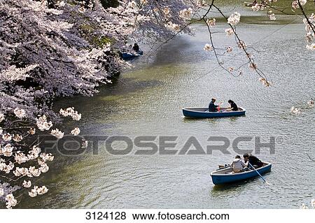 People in rowboats in a park, Tokyo, Japan, high angle view View Large Photo Image Stock Photo - People in rowboats in a park, Tokyo, Japan, high angle view . Fotosearch