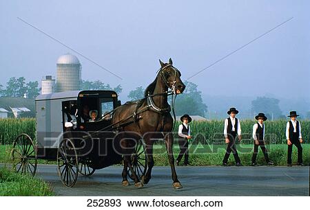 Stock Image - People sitting in horsedrawn carriage with four boys in background . Fotosearch