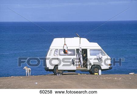 Pet dog near camper on beach, Fuerteventura, Canary Islands, Spain View Large Photo Image Stock Photo - Pet dog near camper on beach, Fuerteventura, Canary Islands, Spain . Fotosearch
