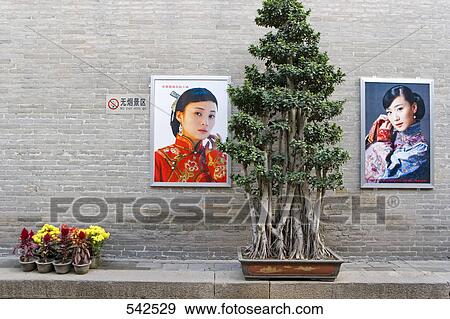 Pictures of actress on wall, Qiao Residence, Qiao Jia, Shaanxi Province, China View Large Photo Image Stock Photo - Pictures of actress on wall, Qiao Residence, Qiao Jia, Shaanxi Province, China . Fotosearch