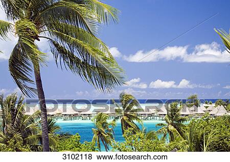 Pile dwellings, Bora Bora, French Polynesia View Large Photo Image Stock Photo - Pile dwellings, Bora Bora, French Polynesia . Fotosearch