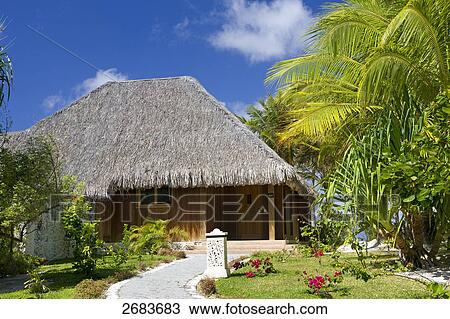 Plants and trees in front of hut, Saint-Regis Resort, Bora Bora, Society Island, French Polynesia View Large Photo Image Stock Image - Plants and trees in front of hut, Saint-Regis Resort, Bora Bora, Society Island, French Polynesia . Fotosearch