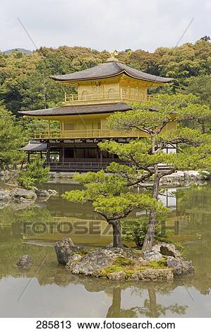 Pond in front of Buddhist temple, Kenninji Zen Temple, Kyoto, Japan View Large Photo Image Stock Image - Pond in front of Buddhist temple, Kenninji Zen Temple, Kyoto, Japan . Fotosearch