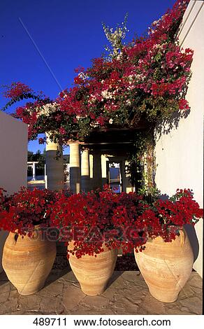 Potted plant in front of building View Large Photo Image Stock Image - Potted plant in front of building . Fotosearch