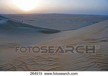 Rear view of man walking in sand dune, Siwa Oasis, Libyan Desert, Egypt View Large Photo Image Stock Photography - Rear view of man walking in sand dune, Siwa Oasis, Libyan Desert, Egypt . Fotosearch