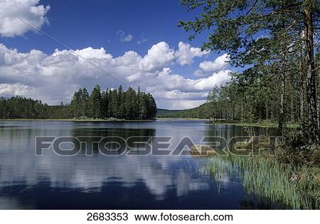 Reflection of clouds and trees in water, Co Vaermland, Sweden View Large Photo Image Stock Image - Reflection of clouds and trees in water, Co Vaermland, Sweden . Fotosearch