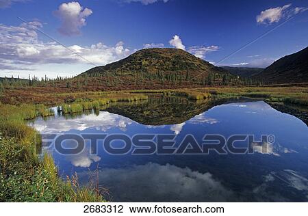 Stock Image - Reflection of mountain in water, Denali National Park, Alaska, USA . Fotosearch