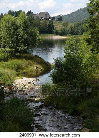River flowing through forest, Black Forest, Baden-Wuerttemberg, Germany View Large Photo Image Stock Photo - River flowing through forest, Black Forest, Baden-Wuerttemberg, Germany . Fotosearch