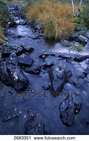 Stock Image - River flowing through forest, Haerjedalen, Jamtland, Sweden . Fotosearch