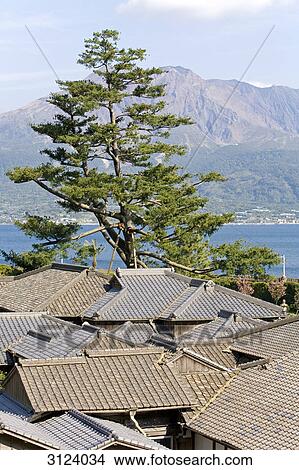 Rooftops in Kagoshima, volcano Sakurajima in the background, Japan, high angle view View Large Photo Image Picture - Rooftops in Kagoshima, volcano Sakurajima in the background, Japan, high angle view . Fotosearch