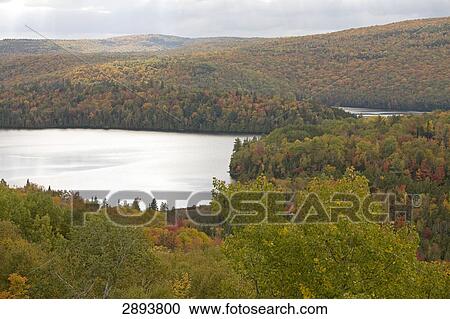 Sacacomie lake near Quebec, Canada View Large Photo Image Stock Image - Sacacomie lake near Quebec, Canada . Fotosearch