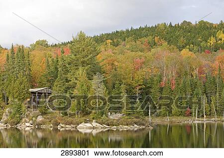 Sacacomie lake near Quebec, Canada View Large Photo Image Stock Image - Sacacomie lake near Quebec, Canada . Fotosearch