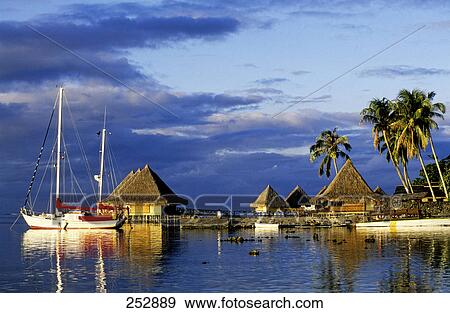 Sailboat with beach huts and palm trees, Tahiti, Society Islands, French Polynesia View Large Photo Image Stock Photo - Sailboat with beach huts and palm trees, Tahiti, Society Islands, French Polynesia . Fotosearch
