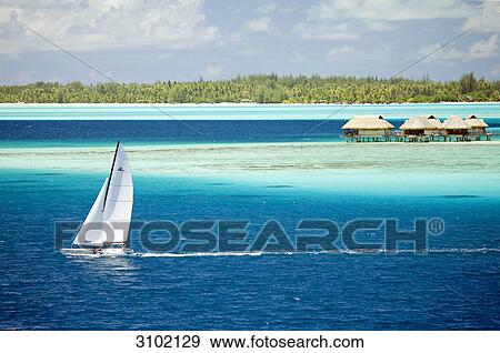 Sailing boat on pacific sea, Bora Bora, French Polynesia View Large Photo Image Stock Photo - Sailing boat on pacific sea, Bora Bora, French Polynesia . Fotosearch