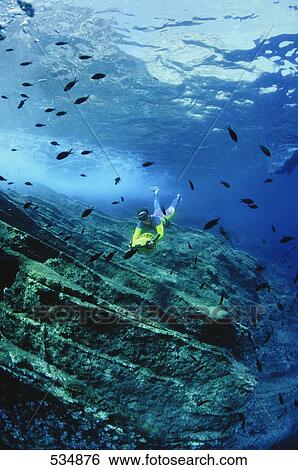 Scuba diver and fish swimming underwater View Large Photo Image Stock Photograph - Scuba diver and fish swimming underwater . Fotosearch