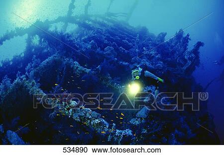 Scuba diver flashing light on train wreck underwater, Brother Island View Large Photo Image Stock Image - Scuba diver flashing light on train wreck underwater, Brother Island . Fotosearch