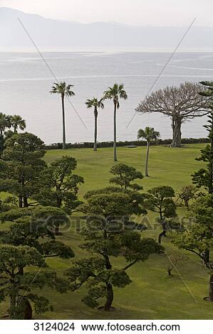 Sea shoreline of Ibusuki, Japan, high angle view View Large Photo Image Picture - Sea shoreline of Ibusuki, Japan, high angle view . Fotosearch