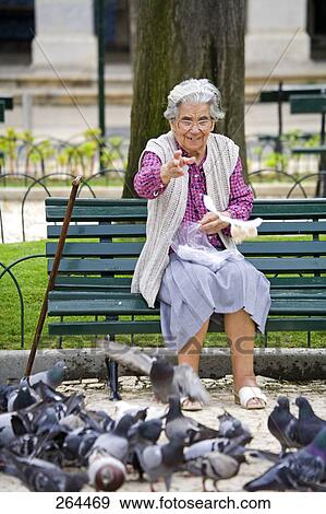 Senior woman feeding pigeons while sitting on bench, Algarve, Portugal View Large Photo Image Stock Photo - Senior woman feeding pigeons while sitting on bench, Algarve, Portugal . Fotosearch
