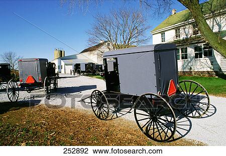 Side profile of horse cart on road View Large Photo Image Stock Image - Side profile of horse cart on road . Fotosearch